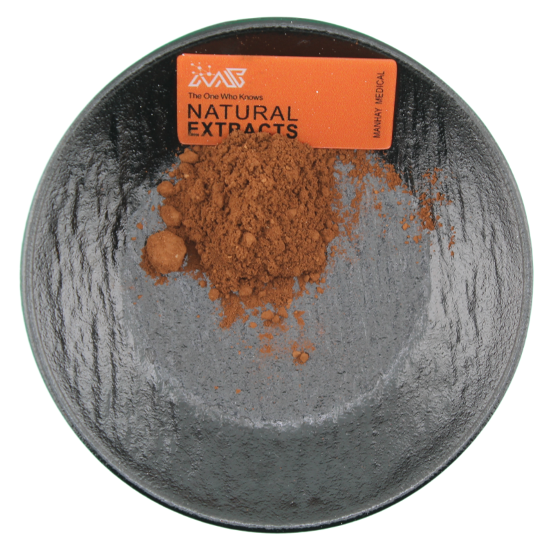 Manhay Natural Food Grade Plantago Ovata Plant Seed Herb Extract Powder Plantago Seed Extract