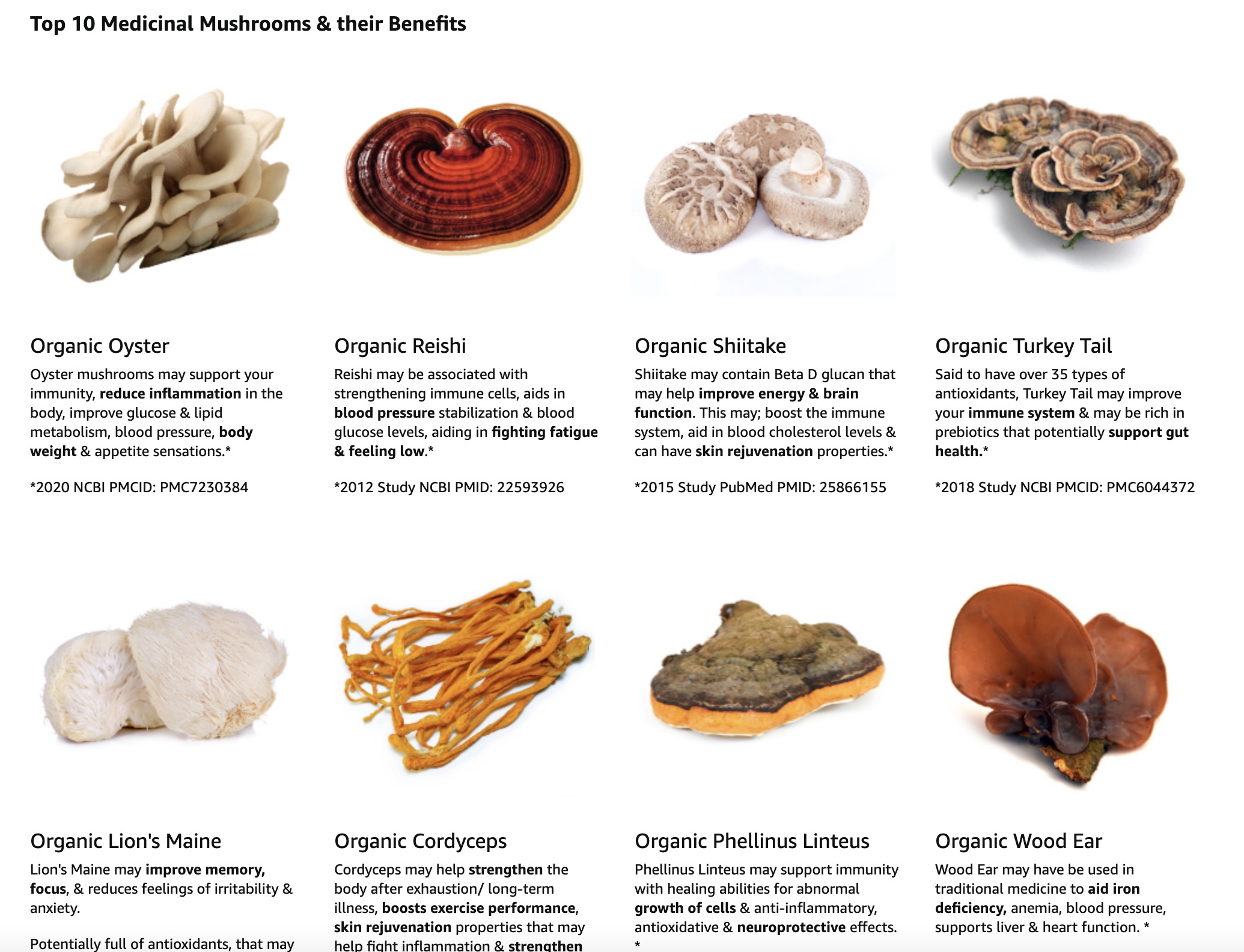 Mushroom Powder Feature 1