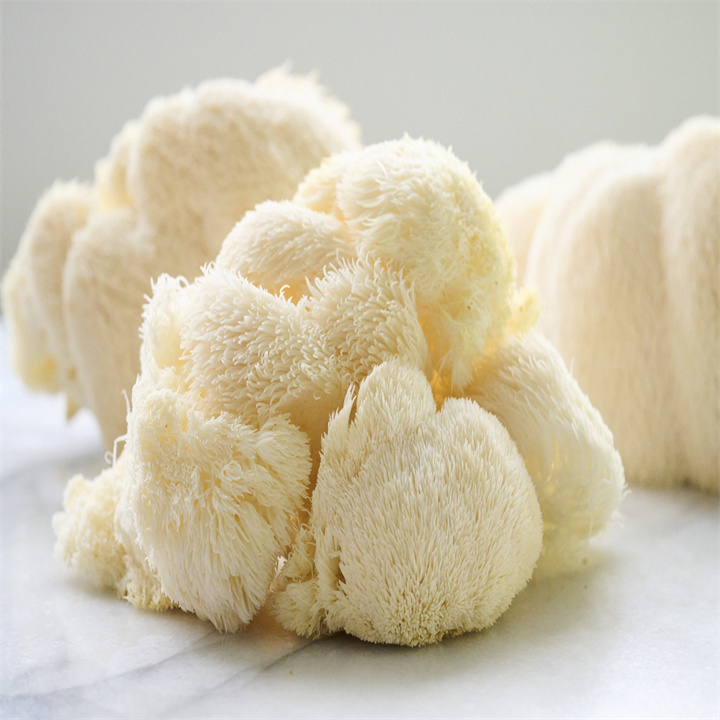 Organic Dried Lion's Mane Mushrooms Whole Dried Lion's Mane Sliced For Cooking Hericium Erinaceus Medicinal Mushrooms