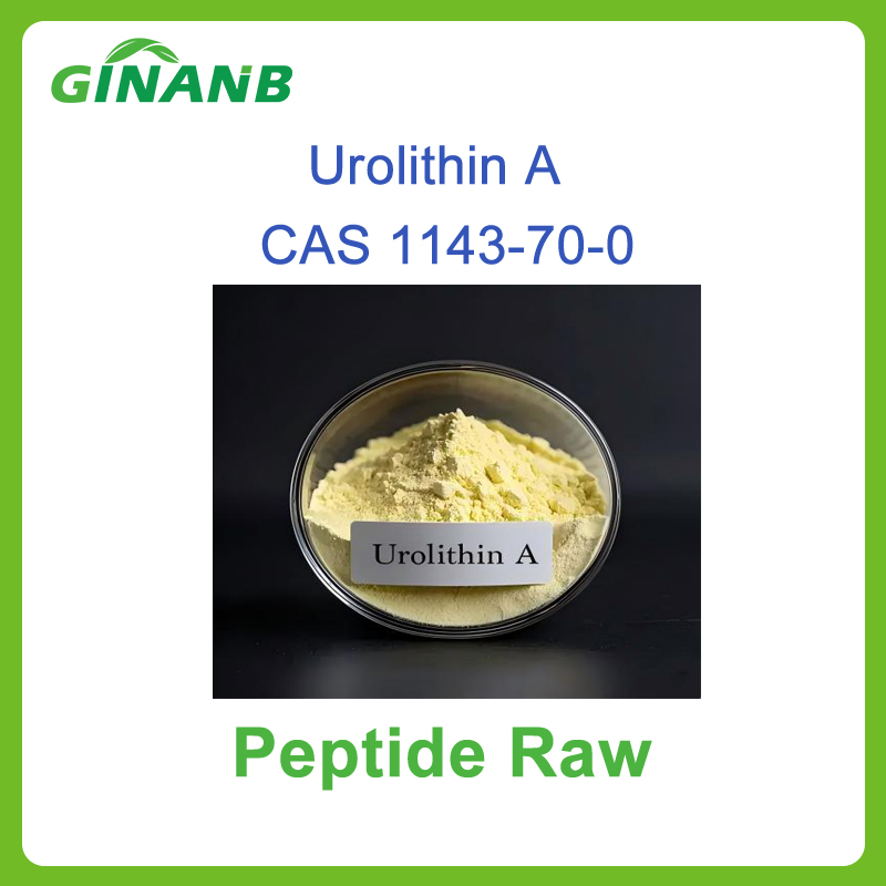 High Purity Urolithin a Nutraceutical and Sports Nutrition Ingredient