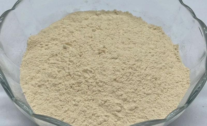 Feed Application