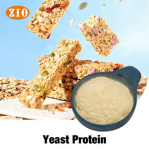 In Stock Fermented Yeast Protein Powder Complete Amino Acids Nutrition Enhancers For Protein Bars