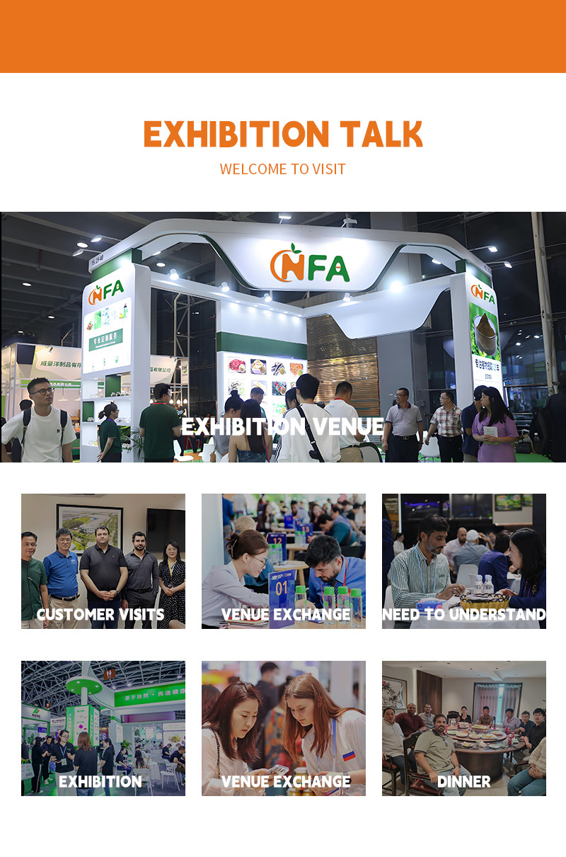 Company Overview 4