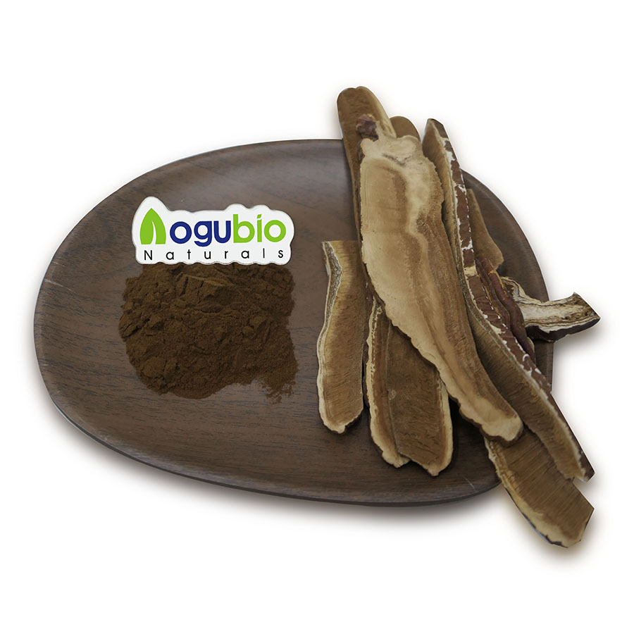 Private Label Reishi Mushroom Powder Purely Natural Reishi Mushroom Powder Capsules