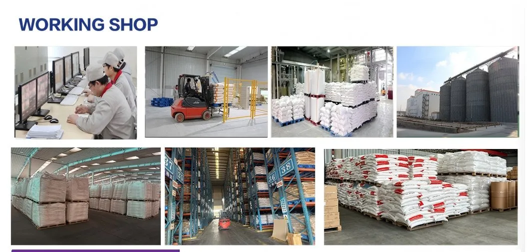 Production Facility Processes