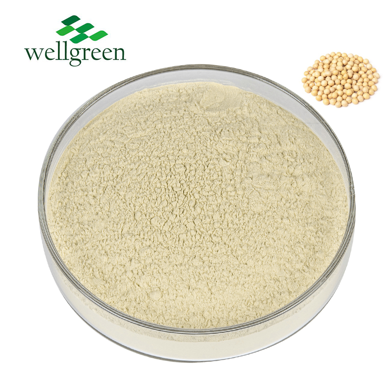 Hot Sales Factory Price Food Ingredients Soy Protein Isolate Suppliers
