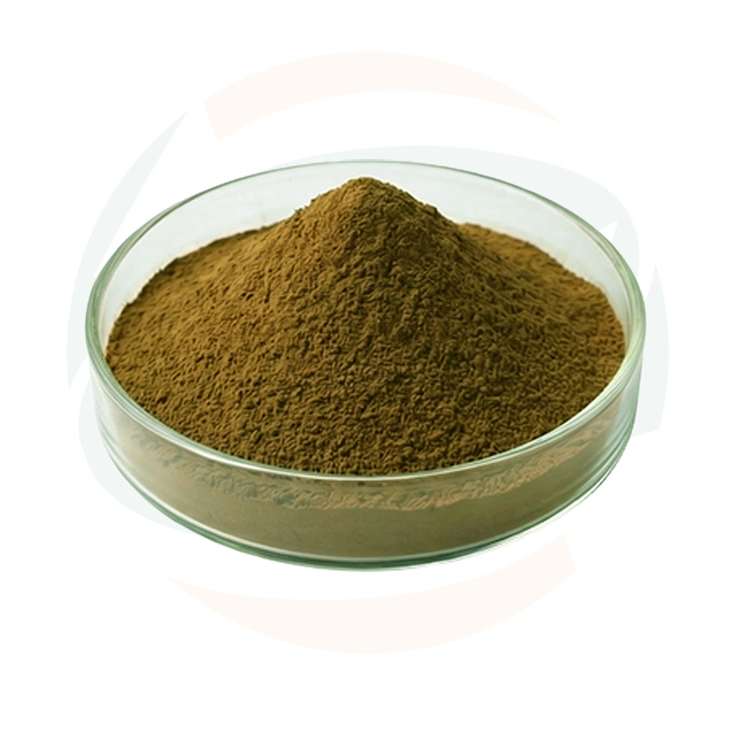 Wholesale 100% Pure Artichoke Leaf Extract Powder Natural Plant Ingredient for Nutraceutical &amp; Functional Food Formulations