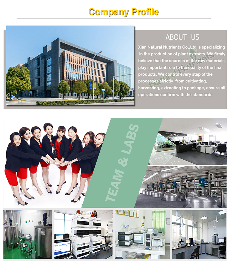 Production Facilities