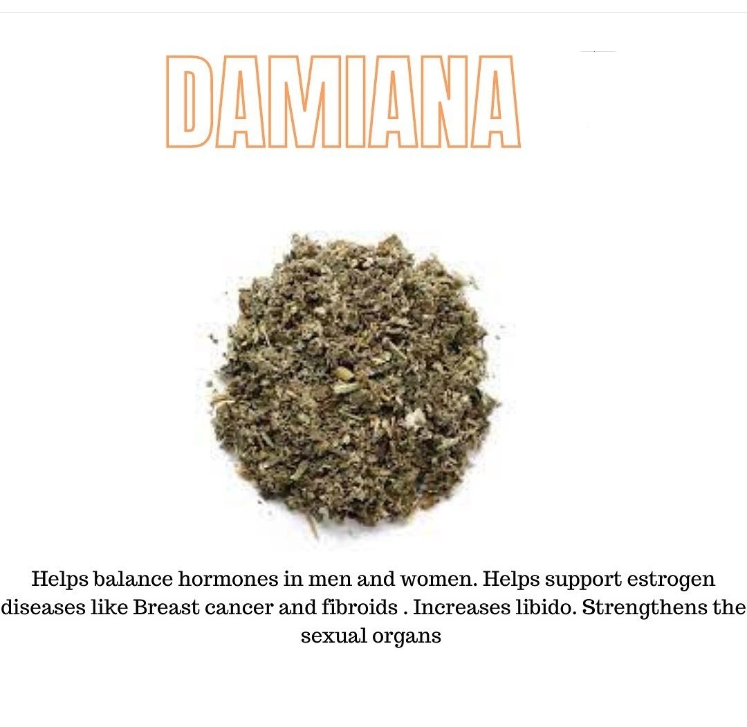 Private Factory Custom Labeled Herbal Extract Powder Wild Damina/Turnera Leaves Natural Plant Ingredients for Libido Enhancement