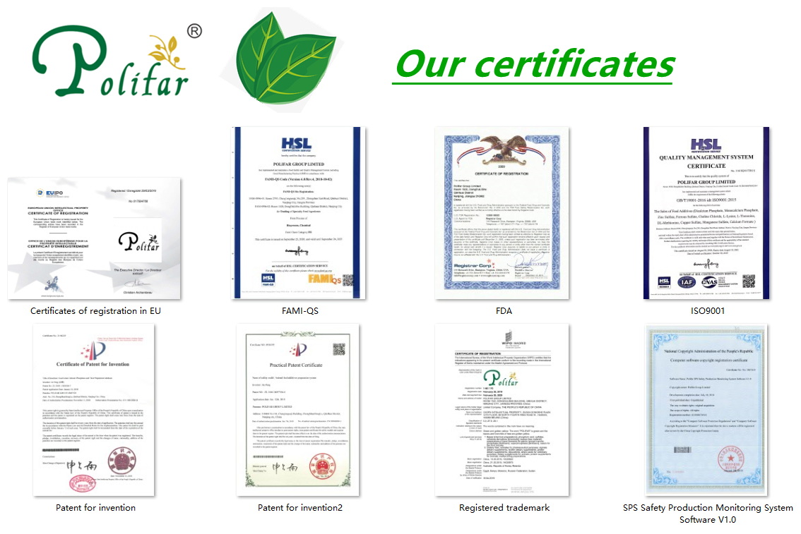 High Quality Food Ingredient Vitamin B1 Thiamine for Food and Beverage