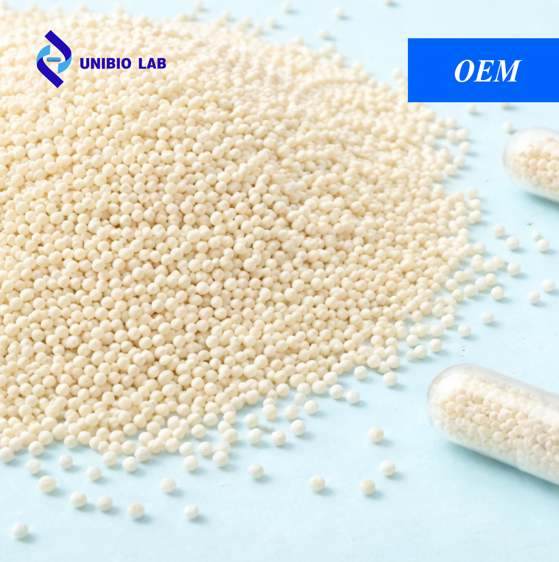 Innovative Probiotics Beadlets Powder | High Stability Probiotic Ingredients for Capsules, Sachets &amp; Functional Foods