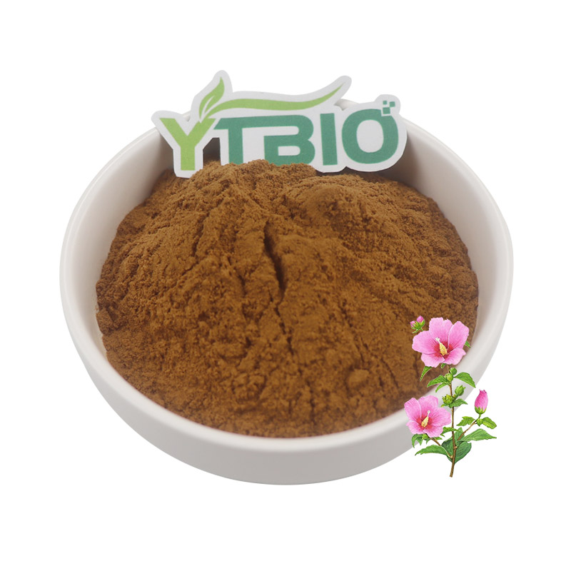 Althaea Rosea Extract 10:1 Althea Root Extract Powder ISO-Certified Herbal Ingredient for Supplements