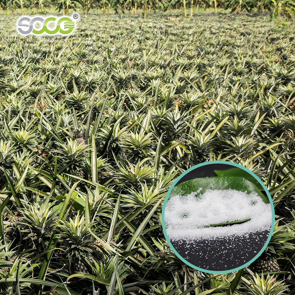 16 Years Service Life Free Sample Sodium Polyacrylate Polymer In Chemicals Potassium Polyacrylate Super Absorbent Polymer SAP