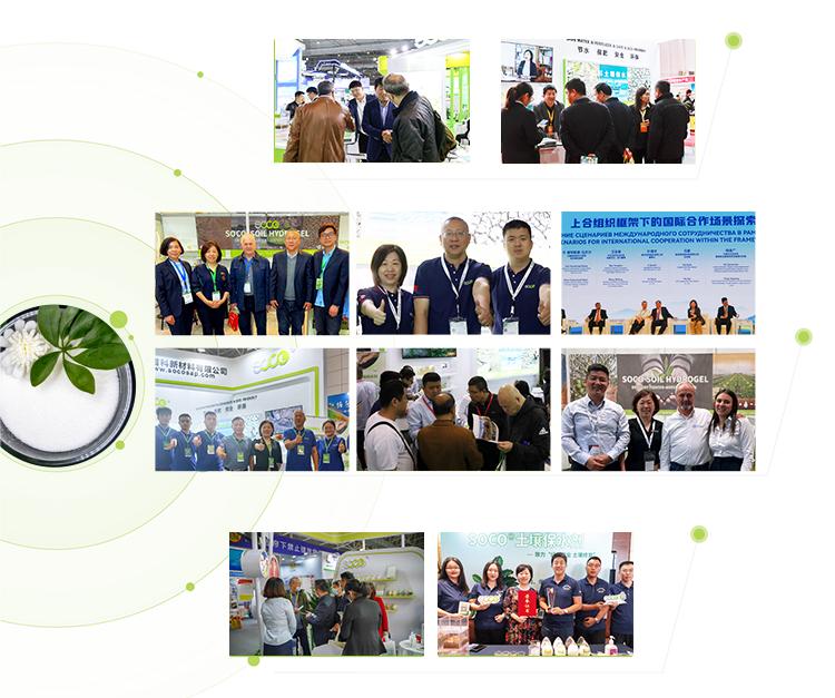 Exhibition Presence
