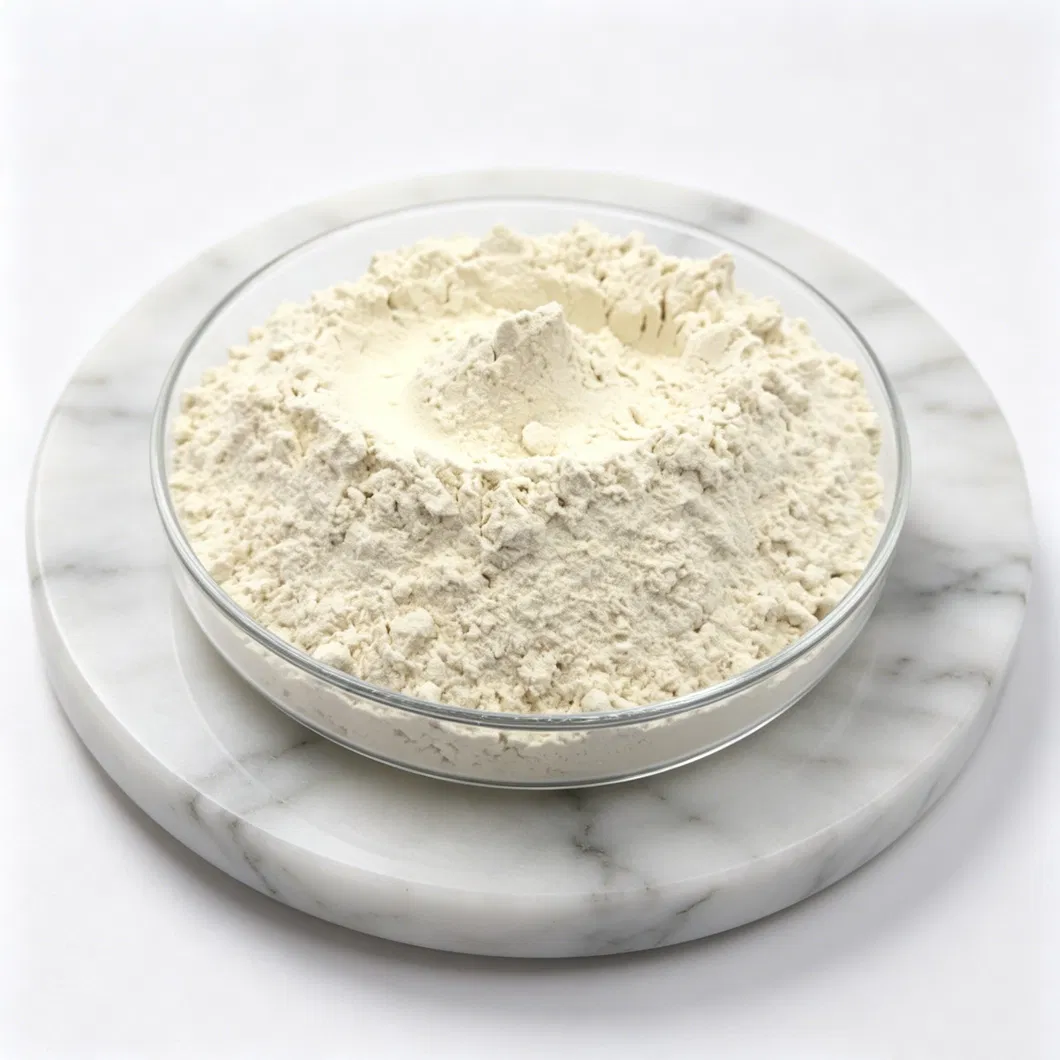 Vital Wheat Gluten Ingredient for Protein Enrichment in Foods