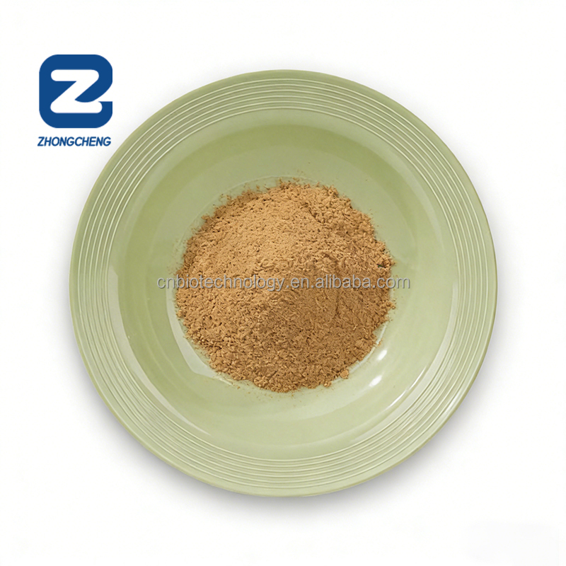 ZhongCheng Supply Shiitake Powder 100% Food Grade Shiitake Powder