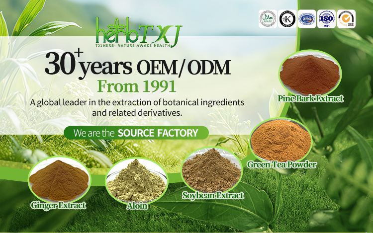 Pine Bark Extract