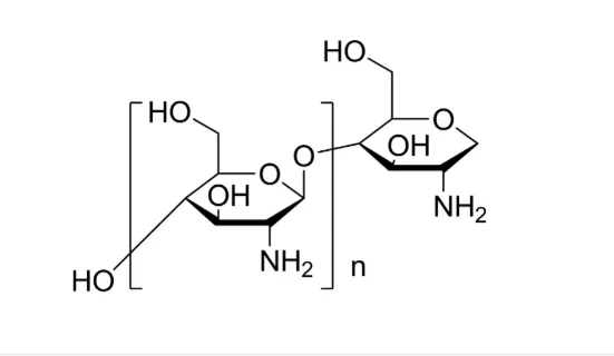 Chitosan Oligosaccharide Ingredient Function
