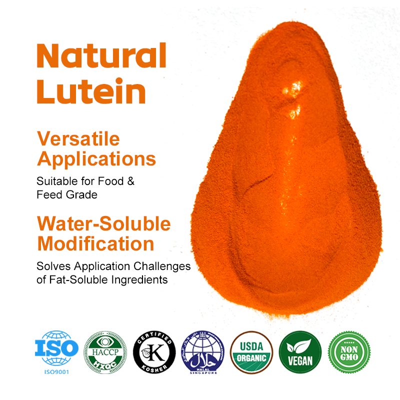 AMULYN Marigold Extract Lutein Powder Lutein Microcapsule Powder 5% Water Soluble Lutein Ester Microcapsule Powder