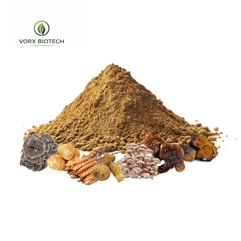 7 in 1 Mushroom Blend Powder for Immune and Daily Wellness Functional Mushroom Supplement OEM Private Label