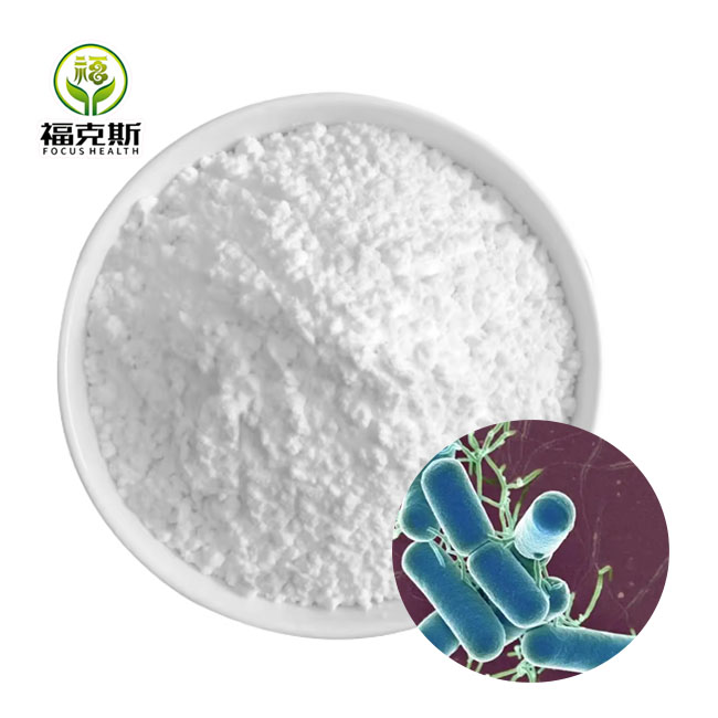 Probiotics Lactobacillus Casei for Food Ingredients From China Factory Freeze-dried Probiotics Powder Original Manufacturer