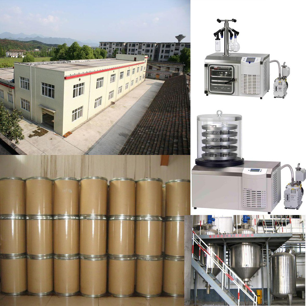 Manufacturing Plant and Lab Facilities