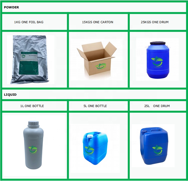 Packaging Details