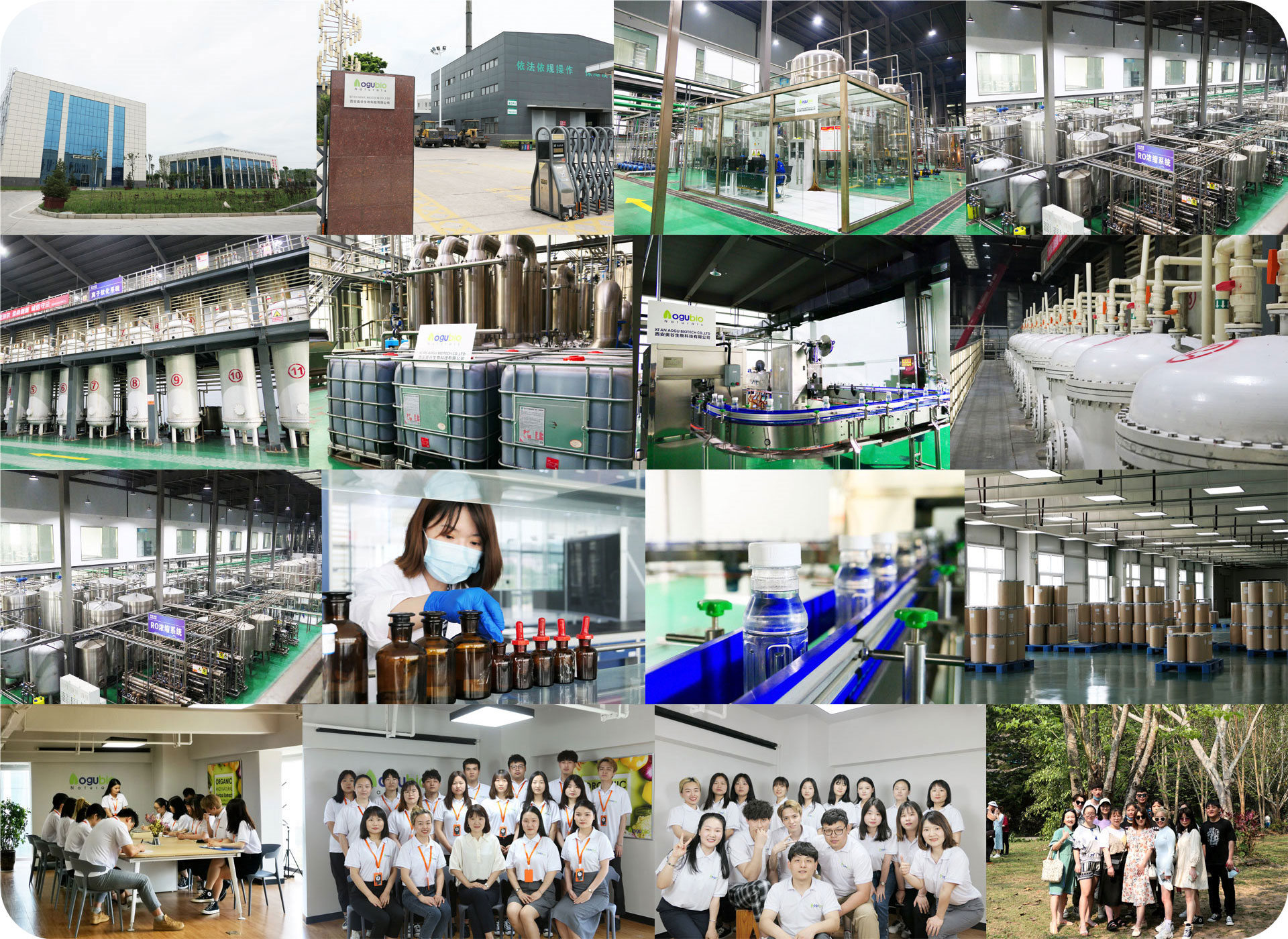 Bifidobacterium Adolescentis Food Ingredients From China Freeze-dried Probiotics Powder Original Manufacturer