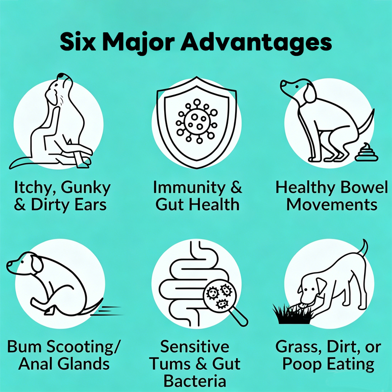 Factory Direct High Quality Customizable 300g 120 Count Pet Probiotic Supplement Supports Digestion Soft Chews
