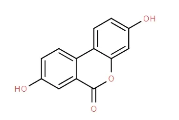 High Purity Urolithin a Nutraceutical and Sports Nutrition Ingredient