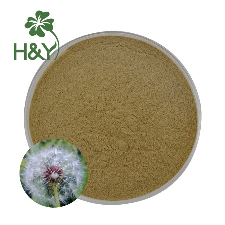 High Quality Pure Herbal Dandelion Extract 10:1 Powder 5% Flavonoids Dandelion Extract Powder
