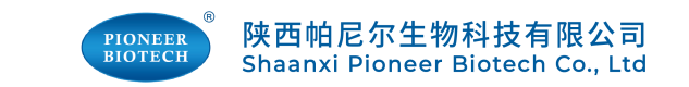 Organic Noni Fruit Extract Powder High Purity Antioxidant Anti-inflammatory for Health Supplement