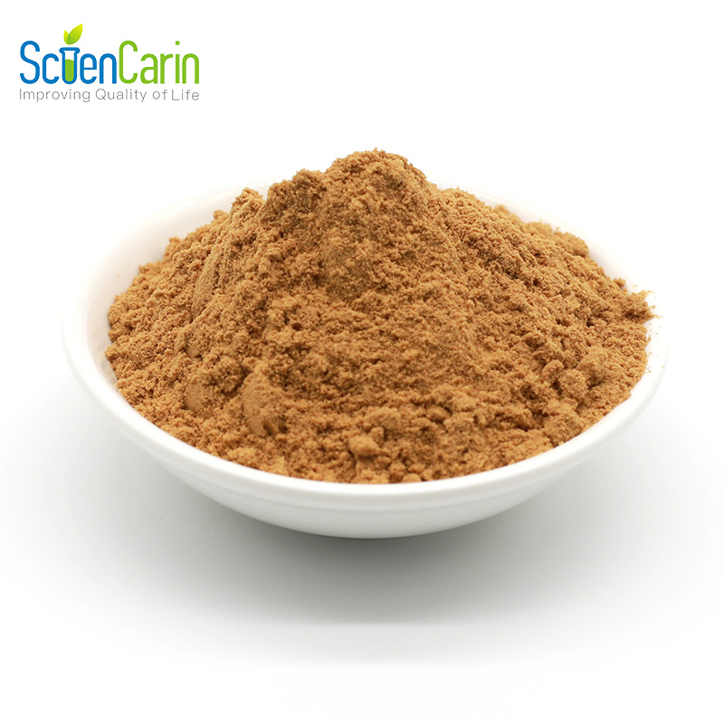 ISO Approved Natural Botanical Supplement Ingredient Atractylodes Chinensis Extract Powder