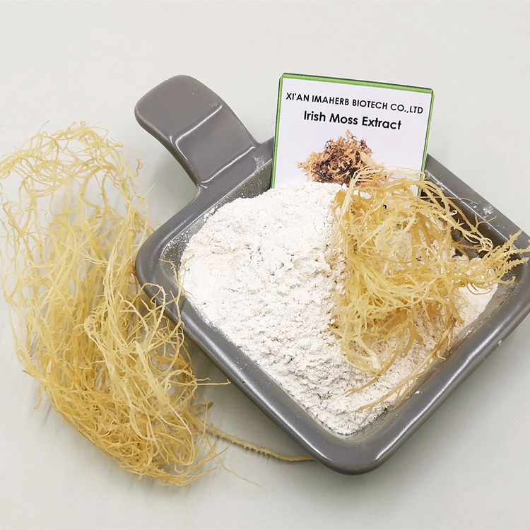Aogubio Supply SeaMoss Extract Natural Organic Irish Sea Moss Powder Seamoss Powder Bulk Irish Sea Moss Powder