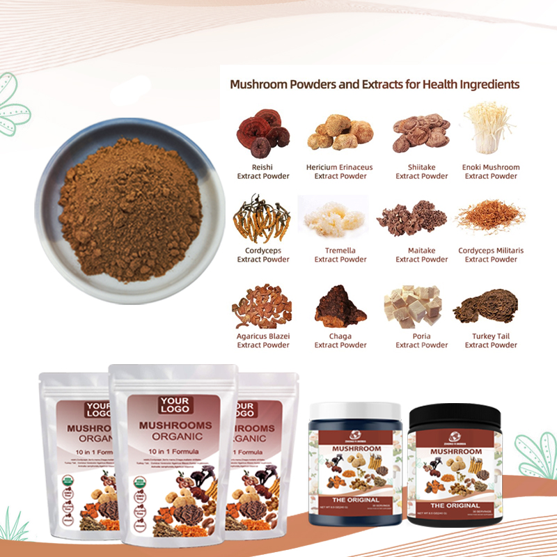 Private Label Customized Formula10 IN1 8 in 1 Mushroom Mix Mushroom Complex Powder Organic Mushroom Powder Blend