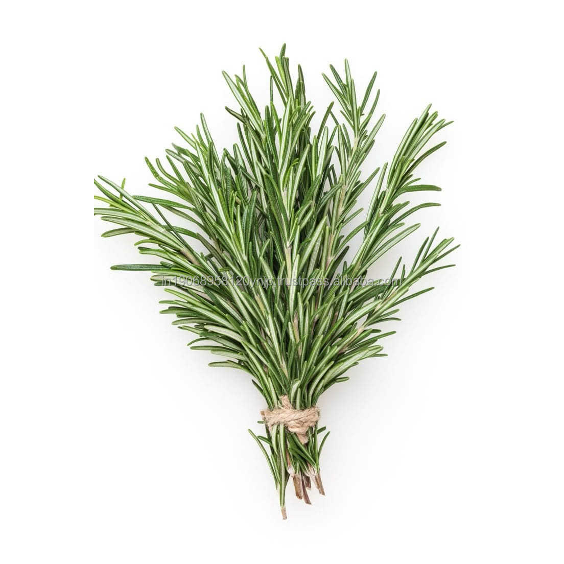 Handpicked Dried Rosemary Beauty Botanical Grade Leaves Multi-Purpose Household Chemicals for Hair Oil Infusion and DIY Masks