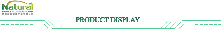 Lactobacillus Paracasei for Food Ingredients From China Factory Freeze-dried Probiotics Powder Original Manufacturer