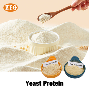 Food Grade Yeast Protein With Most Essential Amino Acids Raw Material For Vegan Healthy Food Production