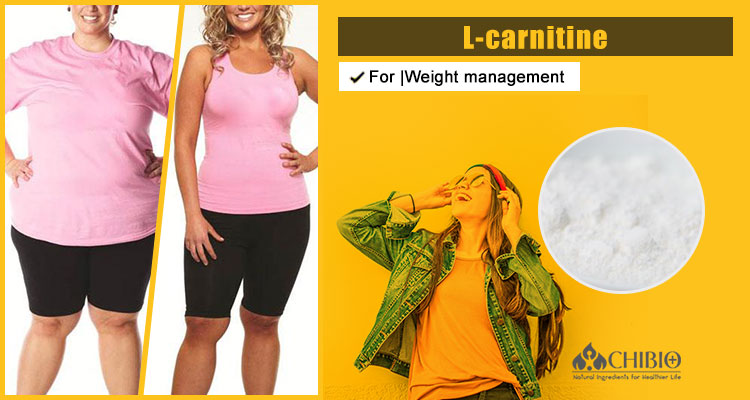 L-Carnitine Benefits & Applications