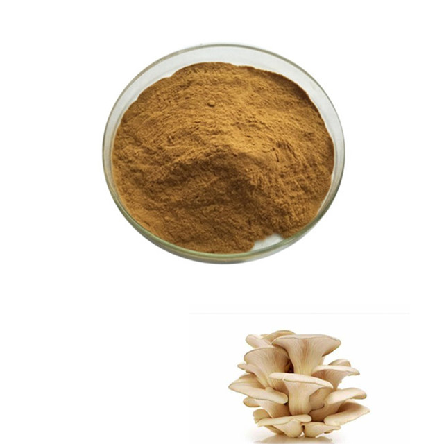 100% Pure Natural Organic Food Supplement Oyster Mushroom Extract Powder