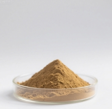 Forsythia Extract Traditional Herbal Ingredient for Immune &amp; Respiratory Support
