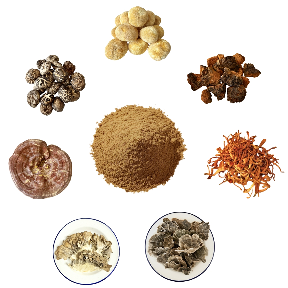 7 In 1 Mushroom Extract Blend Powder 30% Polysaccharides Solid Beverages
