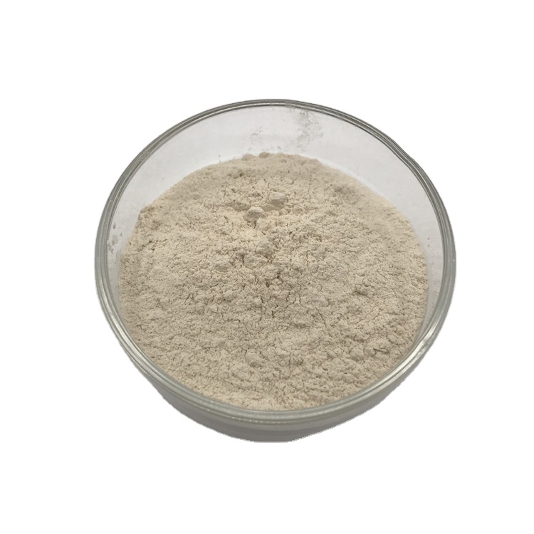 Trypsinogen Chymotrypsinogen Alpha-amylase Lipase Complex Enzyme Mixture As Health Food Ingredients