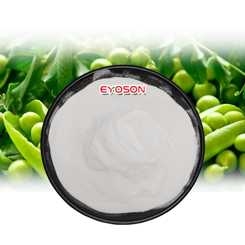 Wholesale Halal Sport Supplement Ingredients Gym Muscle Support Vegan Pea Protein Peptides Powder