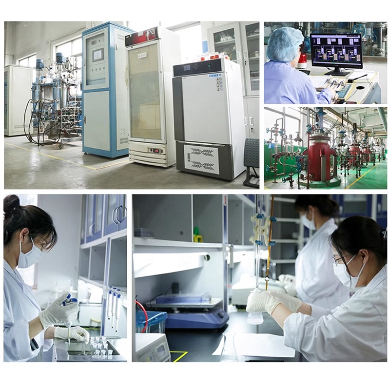 R&D Lab