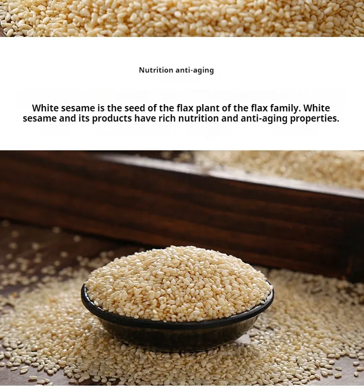 Roasted White Sesame/ 2021/Healthy Ingredient
