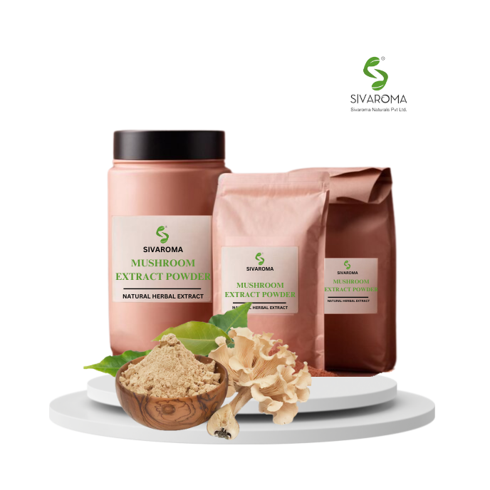 Industrial Supply of Flavorful Wild-Cultivated Mushroom Extract Powder for Tea Blends and Functional Foods