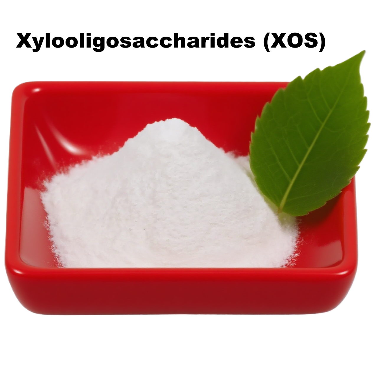 Xylooligosaccharides Tablets - Prebiotic Fiber for Digestive Health, 500mg Per Tablet, 120 Vegan Tablets