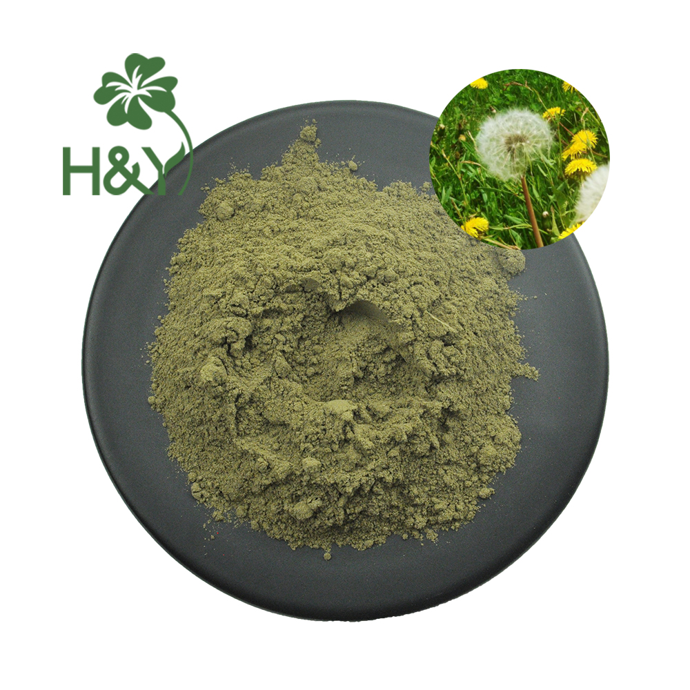 High Quality Pure Herbal Dandelion Extract 10:1 Powder 5% Flavonoids Dandelion Extract Powder