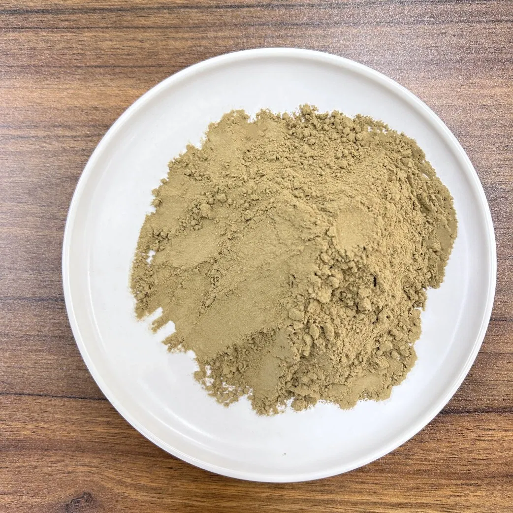 Chicken Hydrolysate Powder Functional Ingredient Rich in Bioactive Protein